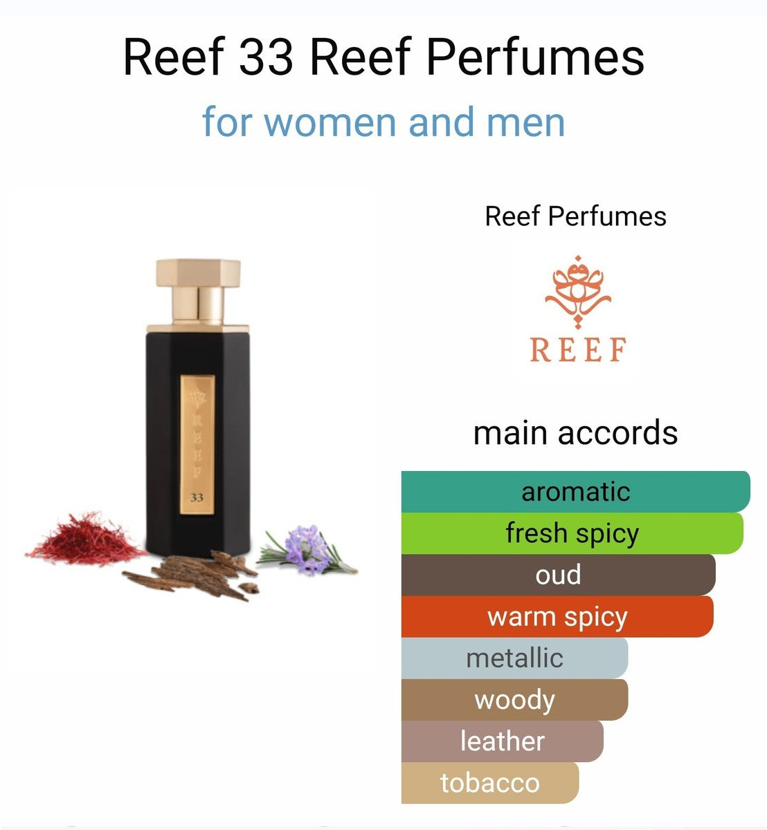 Reef 33 EDP 100ml Classic Perfume - Unisex