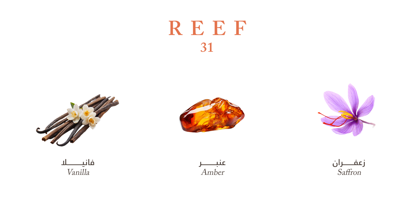 Reef 31 EDP 100ml Classic perfume- Unisex